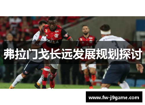 弗拉门戈长远发展规划探讨