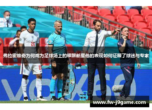 弗拉霍维奇为何成为足球场上的耀眼新星他的表现如何征服了球迷与专家