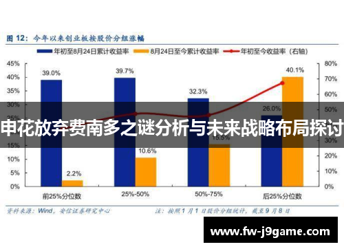 申花放弃费南多之谜分析与未来战略布局探讨