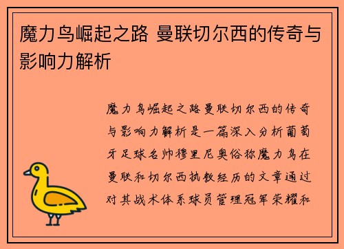 魔力鸟崛起之路 曼联切尔西的传奇与影响力解析